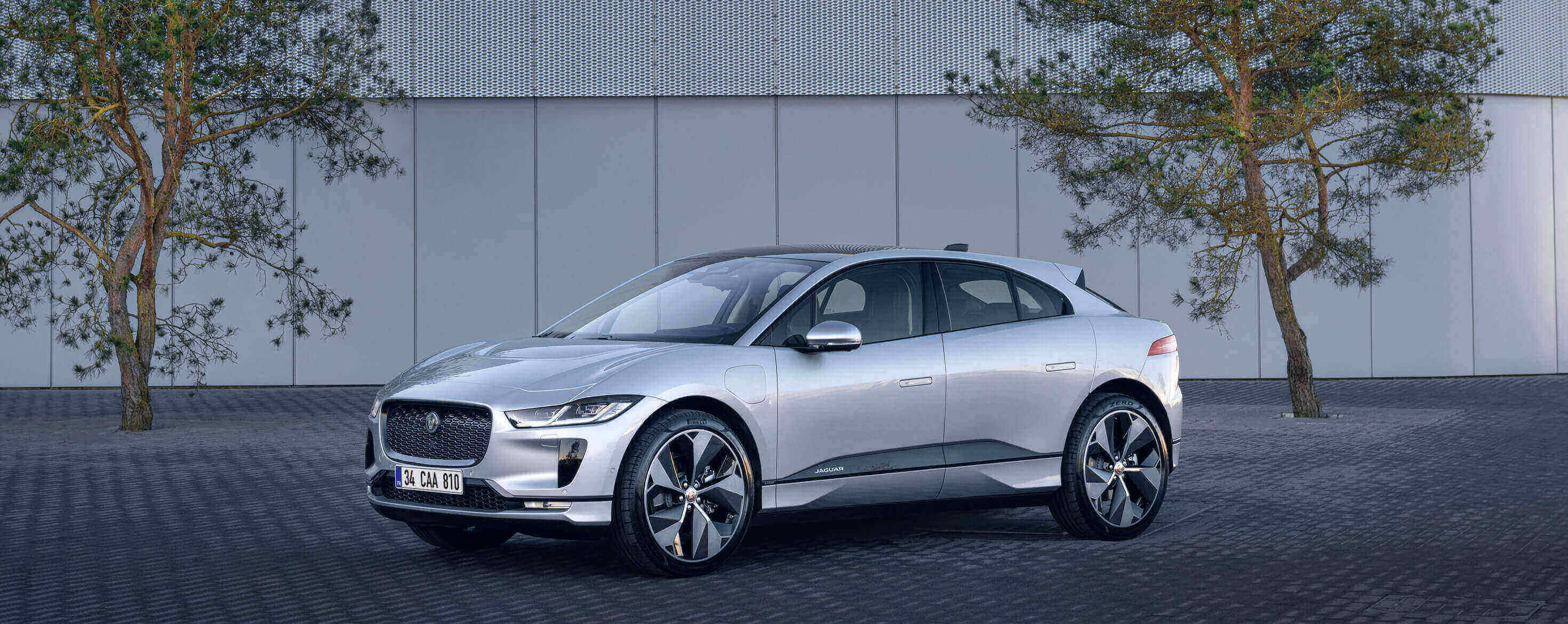 avis green jaguar kiralama